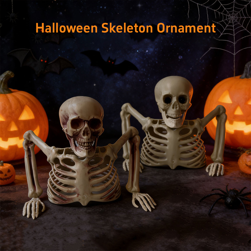 Ornamento de Crânio de Esquele - Halloween Party Supplies avaliação e preço